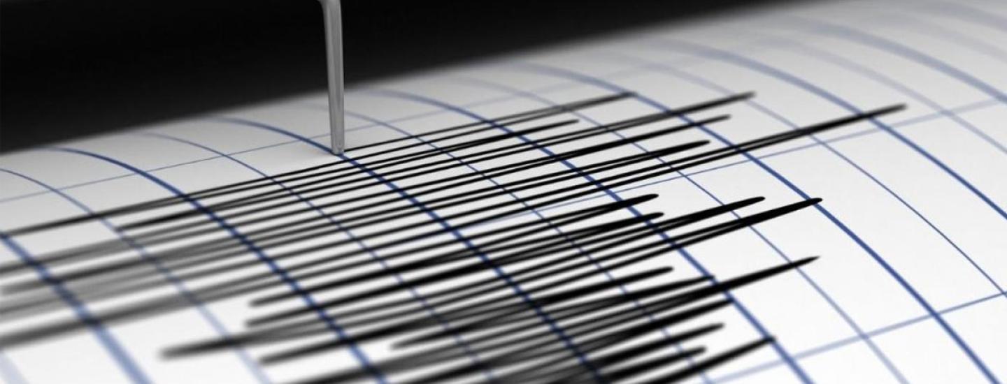 Seismic Assessment and Seismic Risk